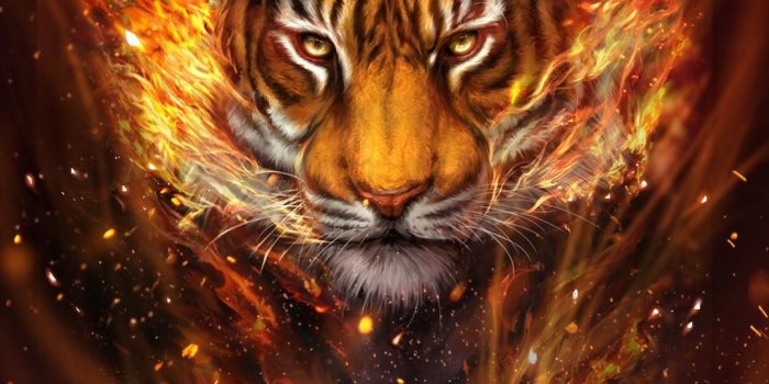 1080x1920 75+ Polygon Tiger Wallpaper Theme Apk - Beautiful Wallpaper Galaxy
