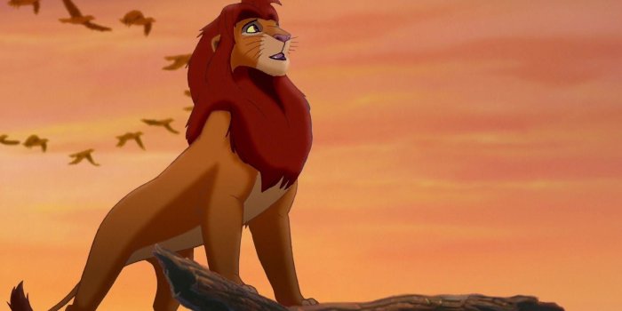 1920x1080 70+ Simba Wallpapers on WallpaperPlay