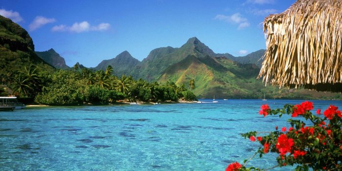 1920x1200 Best 44+ Bahamas Backgrounds on HipWallpaper | Bahamas Wallpaper