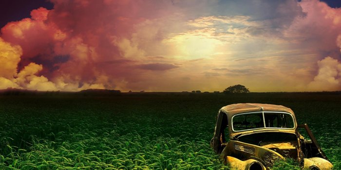 1920x1080 Unique Nature Wallpapers - Top Free Unique Nature Backgrounds