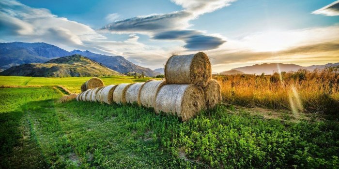 1280x816 Unique Nature Wallpapers - Top Free Unique Nature Backgrounds