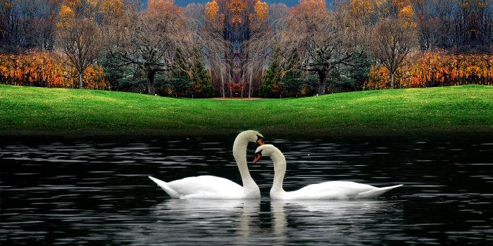 1600x1200 46+] Beautiful Nature Wallpapers HD on WallpaperSafari