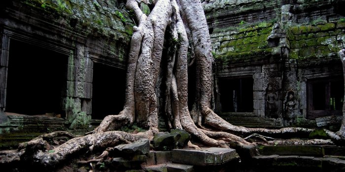 1920x1080 Unique Nature Wallpapers #6940096