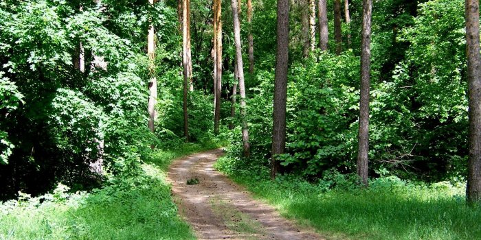 1920x1080 Beautiful Unique Nature HD Wallpapers | HD Wallpapers