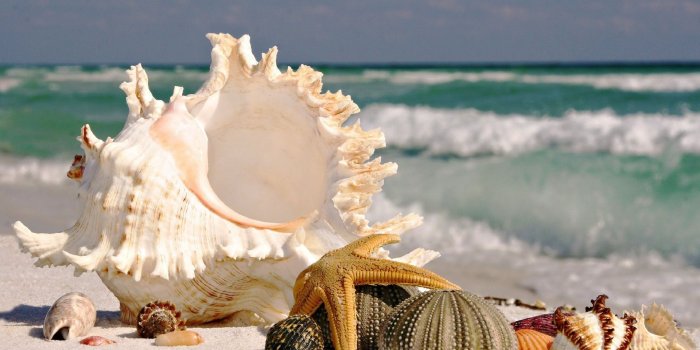 1920x1080 Unique Nature Wallpaper Hd - SaF Wallpapers