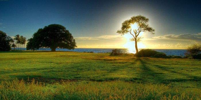 1920x1080 1920x1080, Hd Wallpapers For Windows Unique Hd Wallpapers - Natural