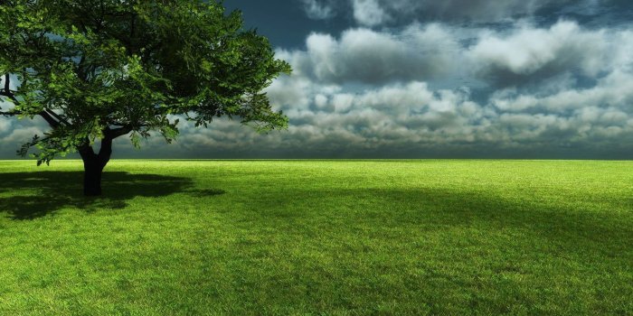 1920x1080 Santabanta Wallpapers Nature