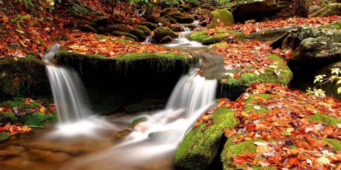 1600x1200 Unique Nature Wallpapers - Top Free Unique Nature Backgrounds