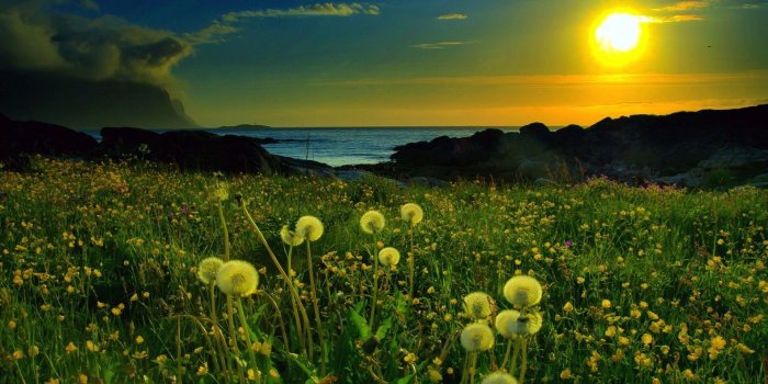 1920x1200 Nature Desktop Wallpapers (67+ background pictures)