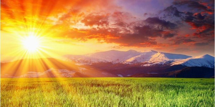 1600x1000 Hd 1080p Wallpaper Unique Nature Hd Wallpapers 1080p - Beautiful