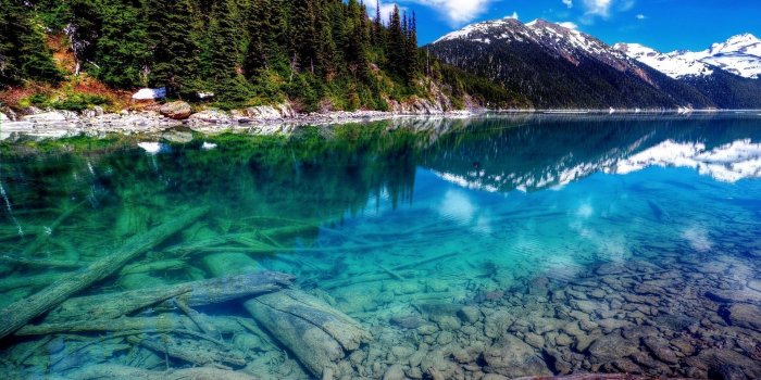 1920x1200 Nature Wallpaper 4K