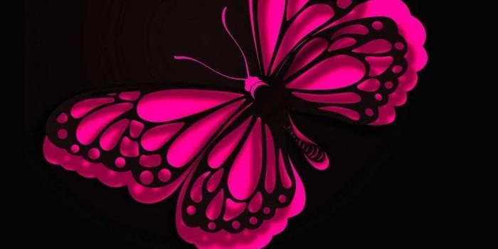 1080x1920 iPhone Wallpaper HD Pink Butterfly | Best HD Wallpapers