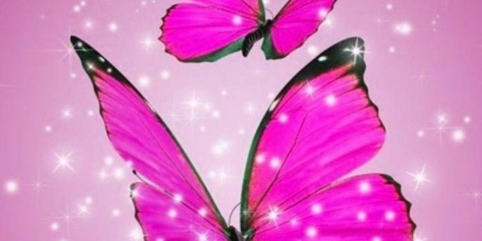 1080x1920 Pink Butterfly HD Wallpapers For Android - 2019 Android Wallpapers