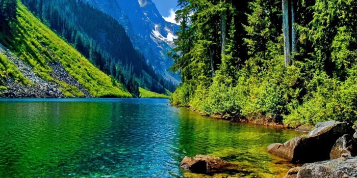 3840x2160 Unique 64+ 4K Nature Wallpapers On Wallpaperplay for you | Pomelo Tapet