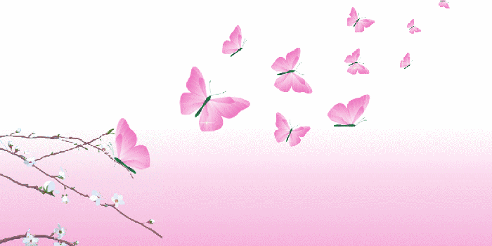 1024x768 Pink Butterfly Wallpapers - Top Free Pink Butterfly Backgrounds
