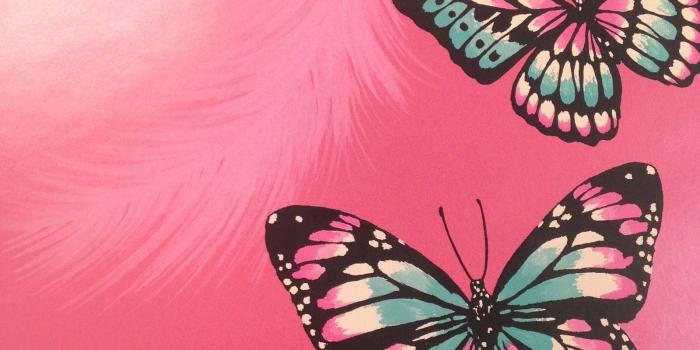 1600x1600 Pink Butterfly Wallpaper uk