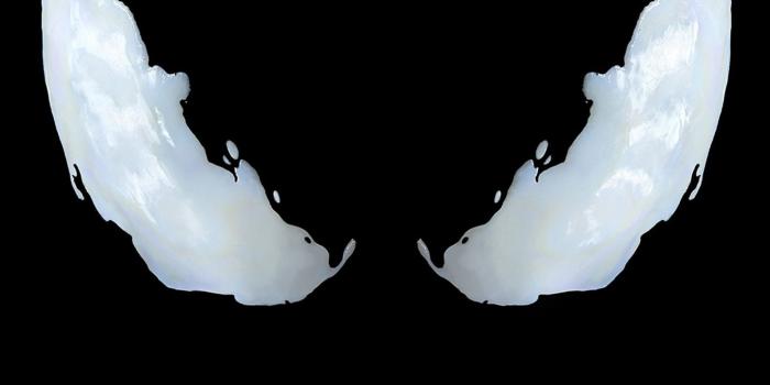 1440x2960 1440x2960 Venom Movie Logo 4k Samsung Galaxy Note 9,8, S9,S8,S8+ QHD