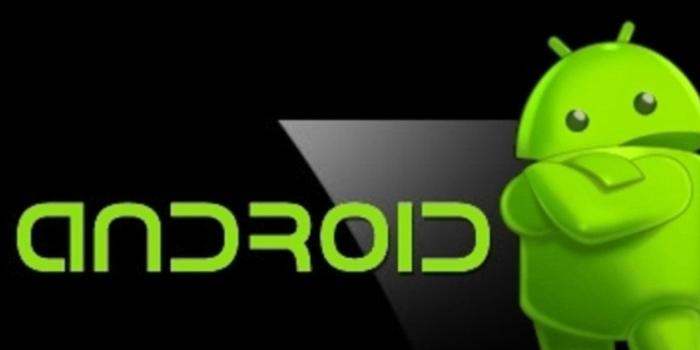 1080x1920 Android Logo Wallpapers Hd (28+ images) on Genchi.info
