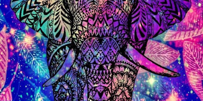 750x1334 Elephant Galaxy Wallpapers - Top Free Elephant Galaxy Backgrounds