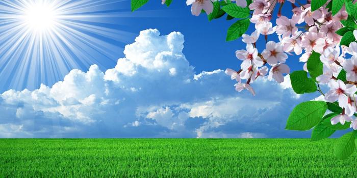 2880x1800 Nature flowers wallpaper nature wallpapers for free download about