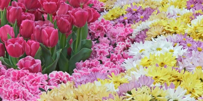 1280x960 Natural Pastels Wallpaper Flowers Nature Wallpapers in jpg format