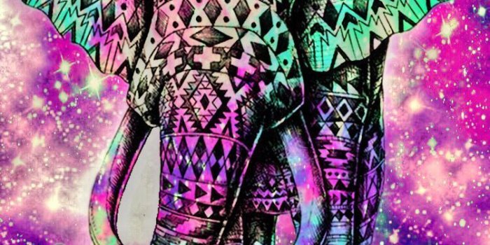 750x1334 Elephant Galaxy Wallpapers - Top Free Elephant Galaxy Backgrounds