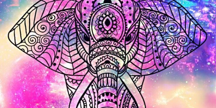 736x1309 Boho Elephant Wallpaper | BOHO Elephants in 2019 | Elephant