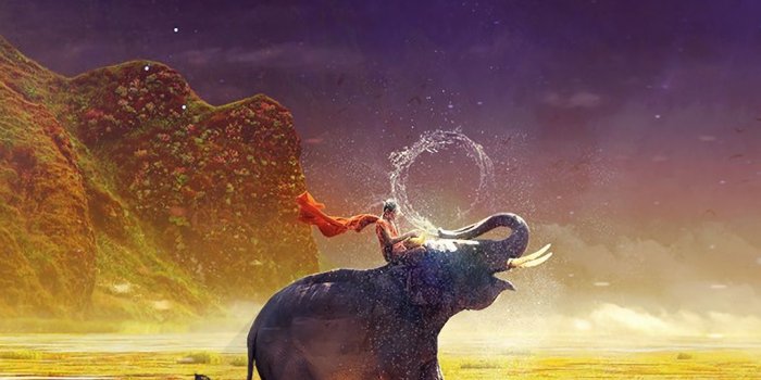 1080x1920 Download wallpaper 1080x1920 elephant, boy, river, spray, waterfall