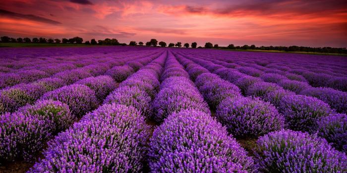 2880x1710 Amazing Nature Wallpapers, Flowers, Nature Images, Free Download