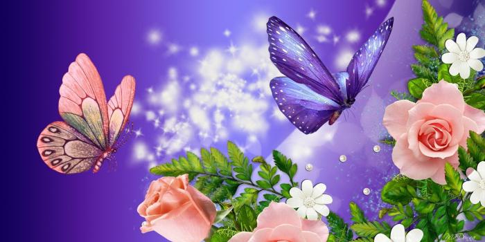 1920x1080 Beautiful Butterfly Flower Nature wallpapers Collection