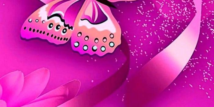 737x1311 Pink Butterfly | BUTTERFLIES in 2019 | Butterfly wallpaper, Iphone