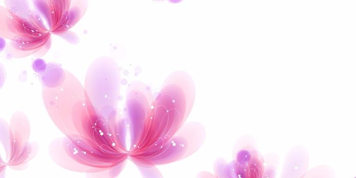 1600x1600 Butterfly light pink flower butterfly wallpaper