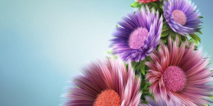 1280x1024 Nature Flower Wallpapers