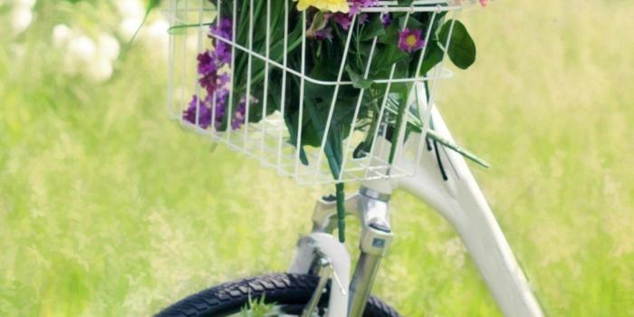 1152x2048 15 Best Nature Wallpapers in 4K and Full HD for Desktop and Mobile