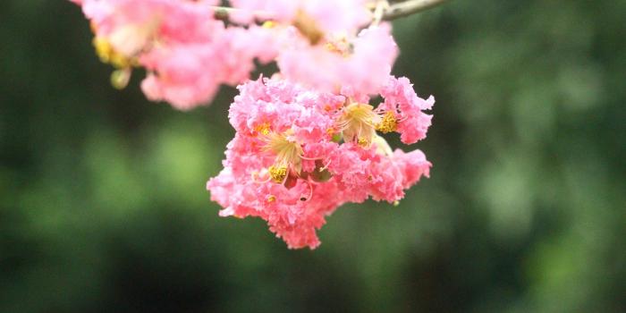 5120x3200 Natural Beauty Of A Flower Wallpaper - [5120x3200]