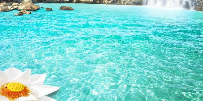 1280x1024 1280x1024 Waterfall Flowers 1280x1024 Resolution HD 4k Wallpapers