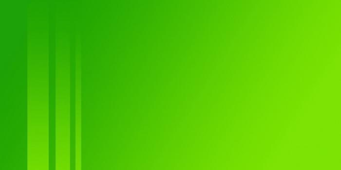 1920x1080 Solid Bright Green Background HD Wallpaper, Background Images