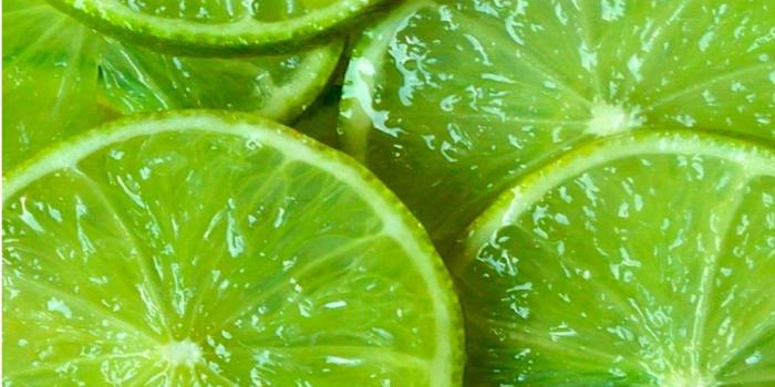 1024x768 Lime Green Wallpapers Pack 17: 36 Lime Green Wallpapers Collection