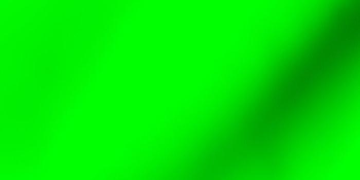 900x900 Fabric by the Yard Solid Lime Green (#00ff00)