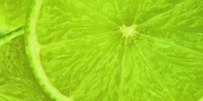 1600x1000 17677 lime green wallpaper