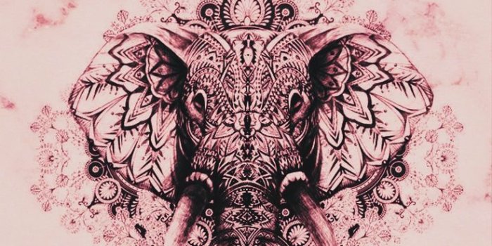 736x1168 Neon darstellung von kunst – Artofit