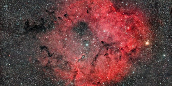 1332x850 Wallpaper space, stars, nebula, Elephant's Trunk, IC 1396 images for