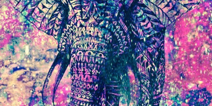 750x1334 Hipster Elephant Wallpapers - Top Free Hipster Elephant Backgrounds