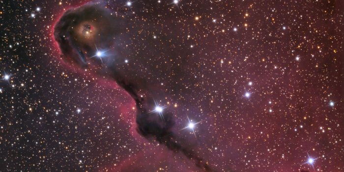 2560x1600 The Elephant's Trunk Nebula wallpaper - Space wallpapers - #10831