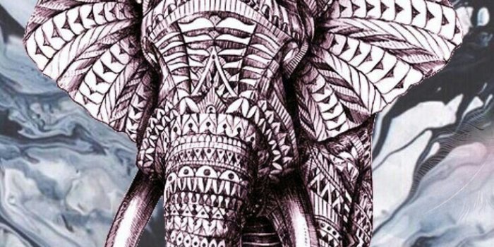 733x1334 Iphone Wallpaper Elephant - Fxund.us