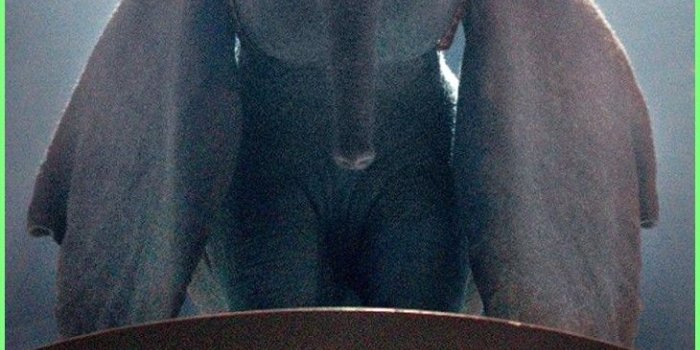 730x1290 Wallpaper Samsung Galaxy - Download 720x1280 Dumbo, elephant, 2019