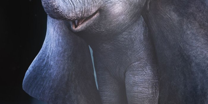 1080x1920 Downaload Dumbo, Elephant, animation movie, 2019 wallpaper