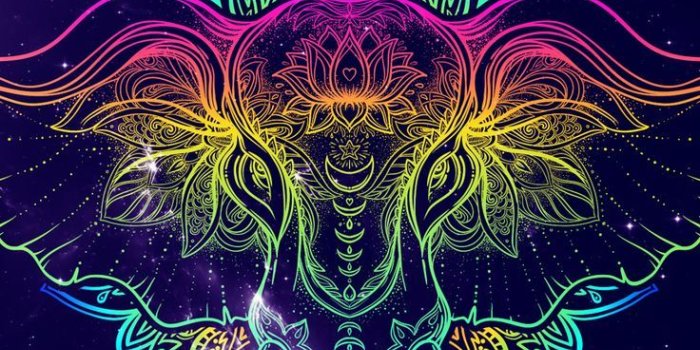 736x1370 Get 666+ elephant phone wallpaper HD Wallpaper [] www.interest.pics