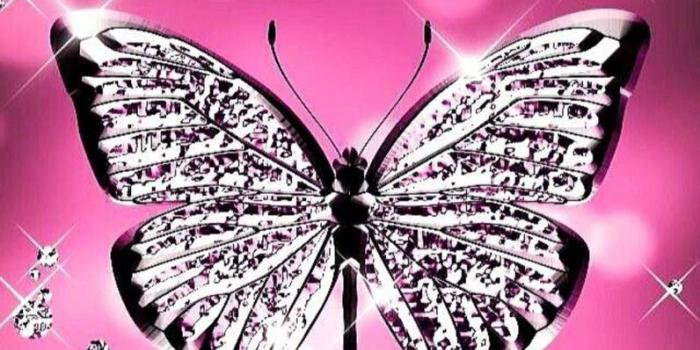 796x1280 Pink butterfly Wallpaper by nawtyangel22 - f1 - Free on ZEDGE™