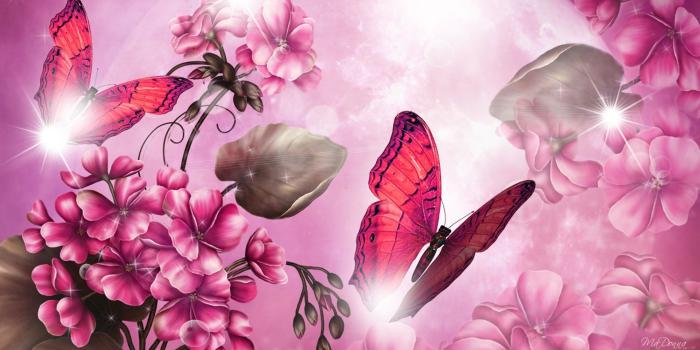 1920x1080 Pink butterfly wallpaper Gallery